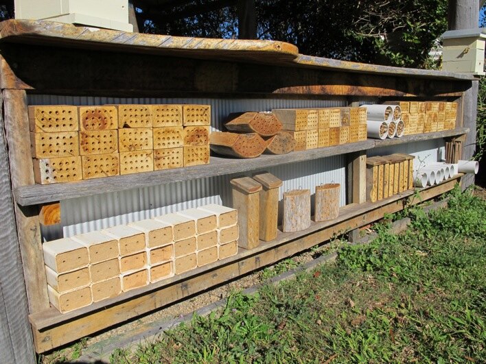 Native bee hive boxes in a garden